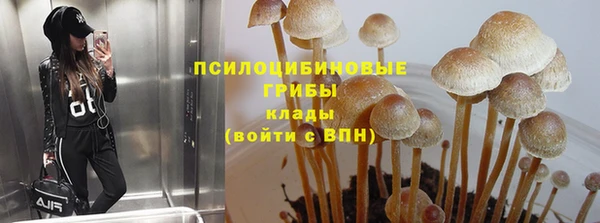 хмурый Наволоки