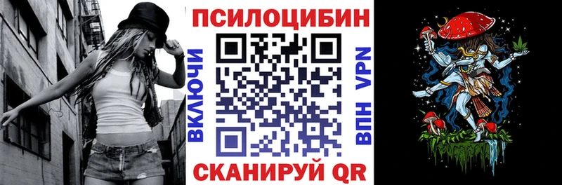 Псилоцибиновые грибы Cubensis  блэк спрут tor  Ладушкин 